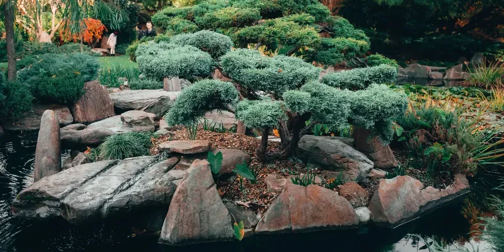 Medicina cuántica que enfermedades cura
