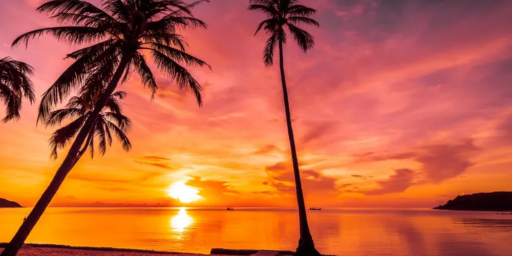 Terapia lnt que es y para que sirve Terapia lnt que es y para que sirve