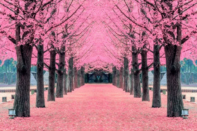 Sanador energético online: Eleva tu bienestar Sanador energético online: Eleva tu bienestar