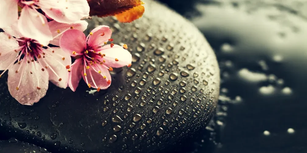 Meditación y mindfulness: claves para vivir en el presente