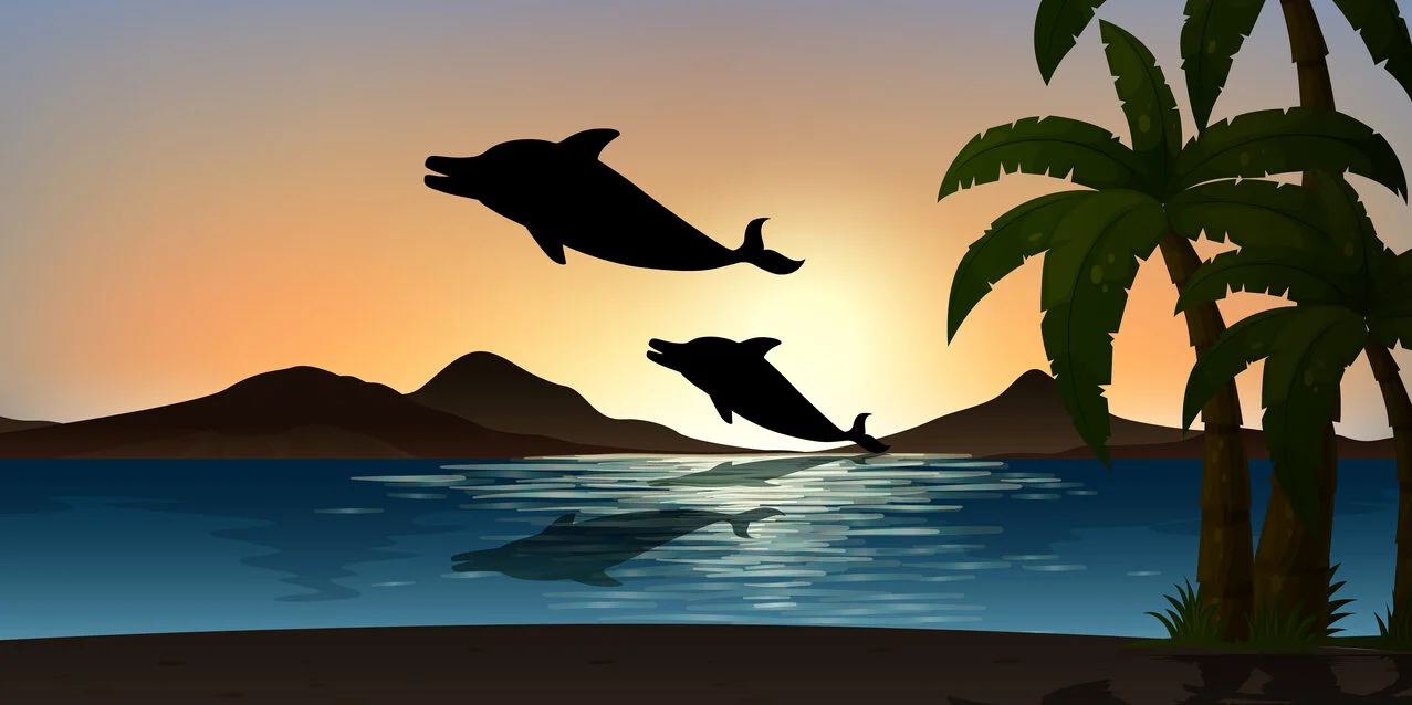 Aprender a Amar – Claves para Una Vida Afectiva Plena