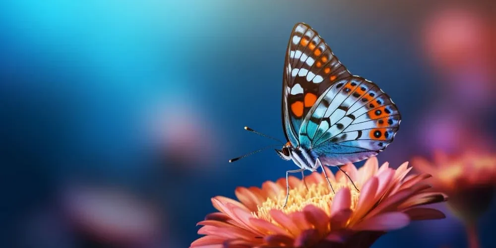 Sincronicidad Entre Personas significado y ejemplos